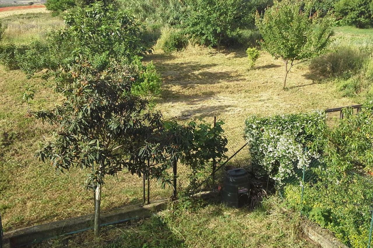 Spazio E Tranquillita A Roma 外观 照片